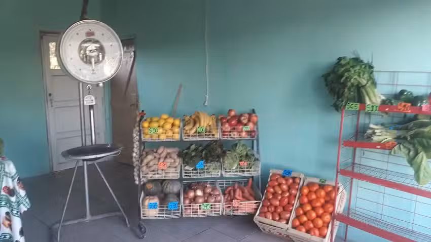 A Y N Almac&eacute;n y verduler&iacute;a