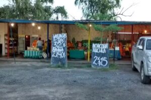 Alicia Frutas Y Verduras