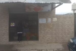 Almacén, granja, verdulería heladeria CAMILE
