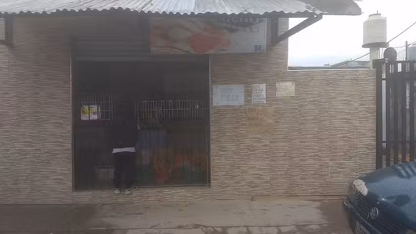 Almac&eacute;n, granja, verduler&iacute;a heladeria CAMILE