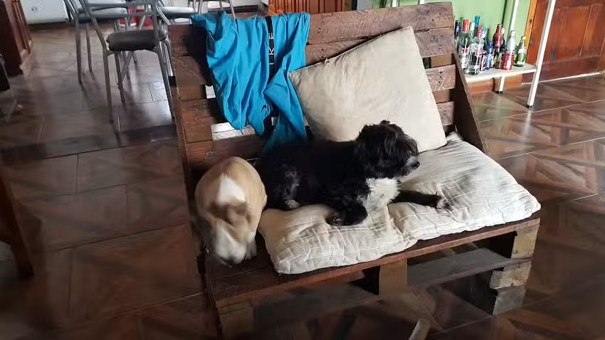 Almacen Granja Y Verduleria