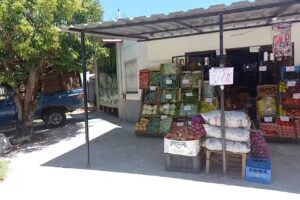 Almacen verduler&iacute;a la esquina de Sandrita