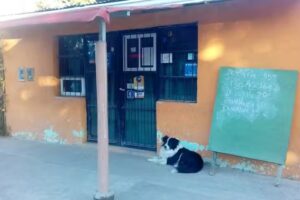 Almac&eacute;n y Verduleria &ldquo;El Corsa&rdquo;