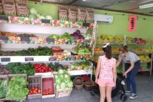 Almac&eacute;n y verduleria L&M