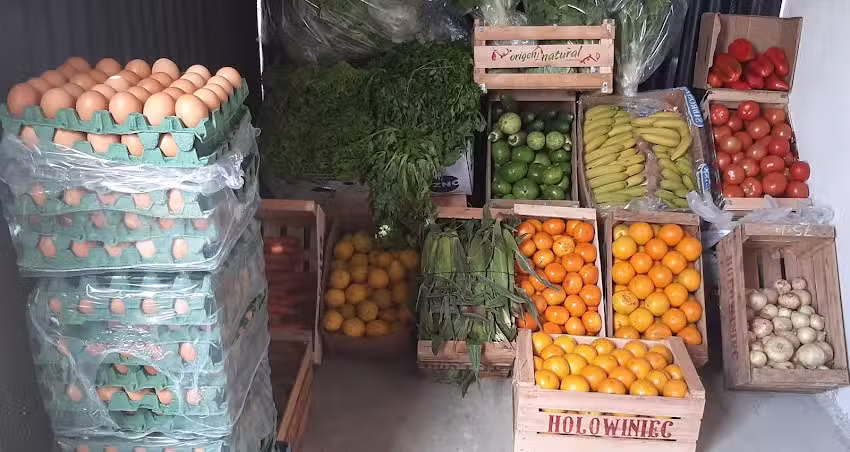 Almac&eacute;n y Verduler&iacute;a LA PLAZA 24