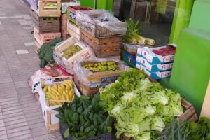 ARCO IRIS verdulería