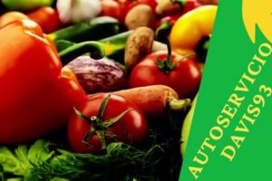 AUTOSERVICIO DAVIS93