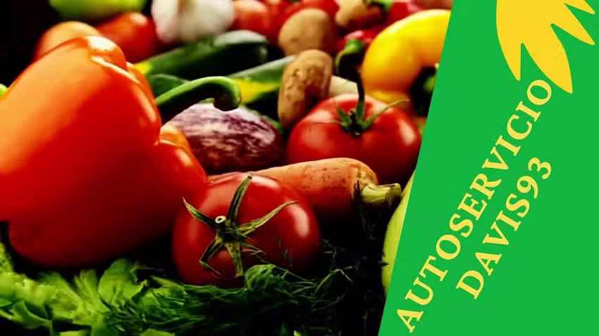 AUTOSERVICIO DAVIS93