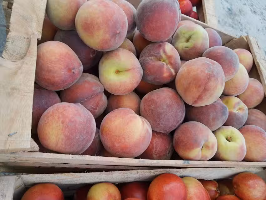 Autoservicio Frutas Y Verduras El Reencuentro
