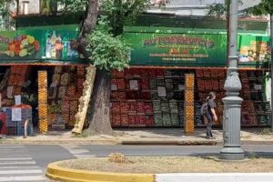 Autoservicio Frutas Y Verduras ESQ 44