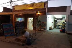 AUTOSERVICIO Y VERDULERIA AMEGHINO