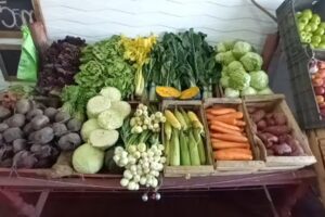 Avicola y Verduleria Pablo y Belen