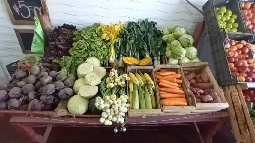 Avicola y Verduleria Pablo y Belen