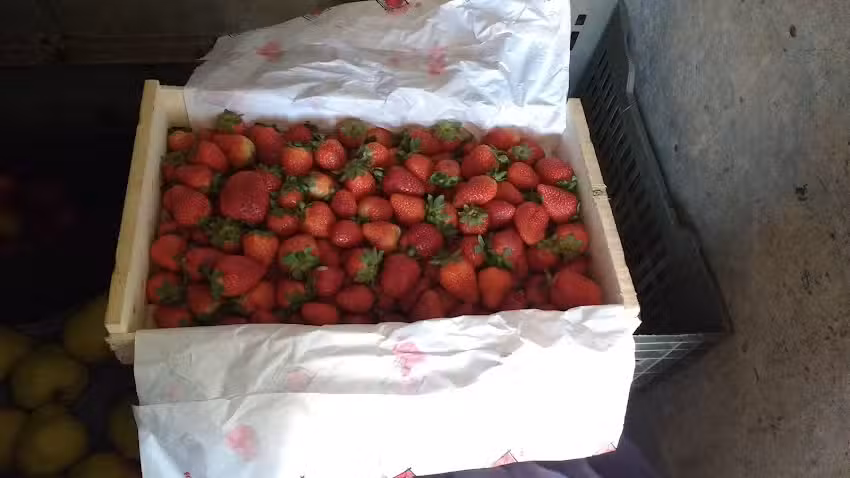 Barboza Antonio Verduler&iacute;a.Y Pollo Al Spiedo Todo Lo Domingo