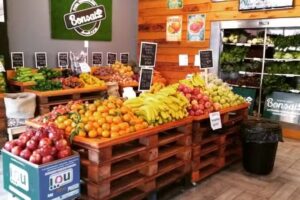 Bonsai Frutas y Verduras