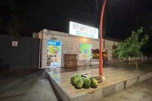 Broccolo Frutas y Verduras