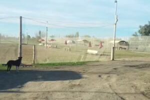 &Ccedil; Hnos Galpon de Empaque