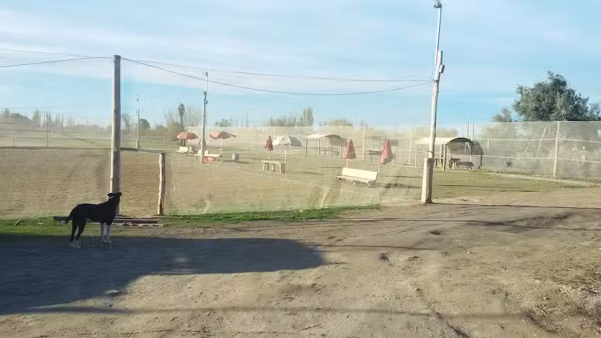 &Ccedil; Hnos Galpon de Empaque