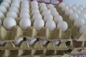 Carnicer&iacute;a Polleria Verduleria &ldquo;MICA&rdquo;