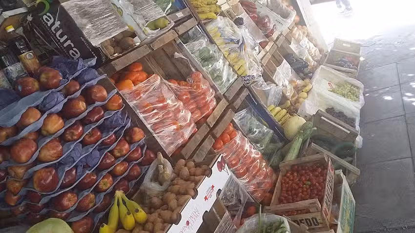 Carnicer&iacute;a Verduler&iacute;a