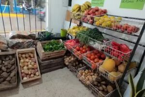 Carnicer&iacute;a, verduler&iacute;a, fiambrer&iacute;a y despensa Pablo