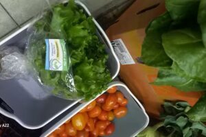 Carnicer&iacute;a y Verduler&iacute;a El Paisano