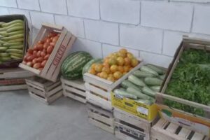 Carniceria Y Verduleria FABIO