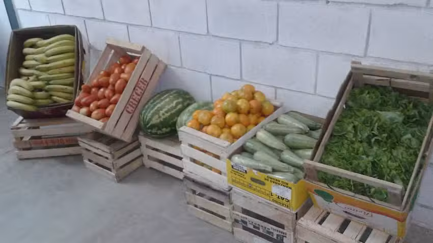 Carniceria Y Verduleria FABIO