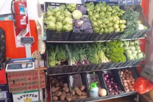 Carniceria y verduleria gasty