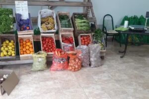 Carnicería y verduleria La Hermita