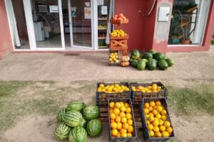 Carniceria y Verdulería Los Amigos