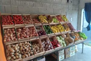 Carnicer&iacute;a Y Verduleria Ludmila