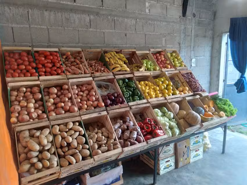 Carnicer&iacute;a Y Verduleria Ludmila