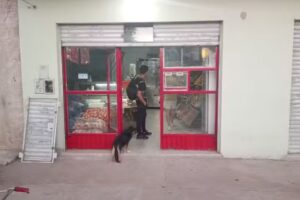 Carnicer&iacute;a y verduler&iacute;a samuel