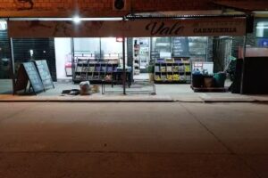 Carnicer&iacute;a y Verduler&iacute;a Vale