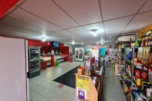 Carnicer&iacute;a y Verduler&iacute;a Virgen de Guadalupe