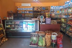 CELESTE- DESPENSA Y VERDULERIA