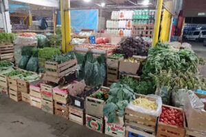 Chacra VILUR&Oacute;N