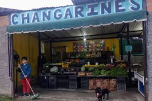 Changarines