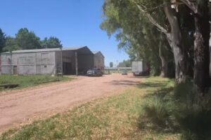 Comercial tu hermana eas