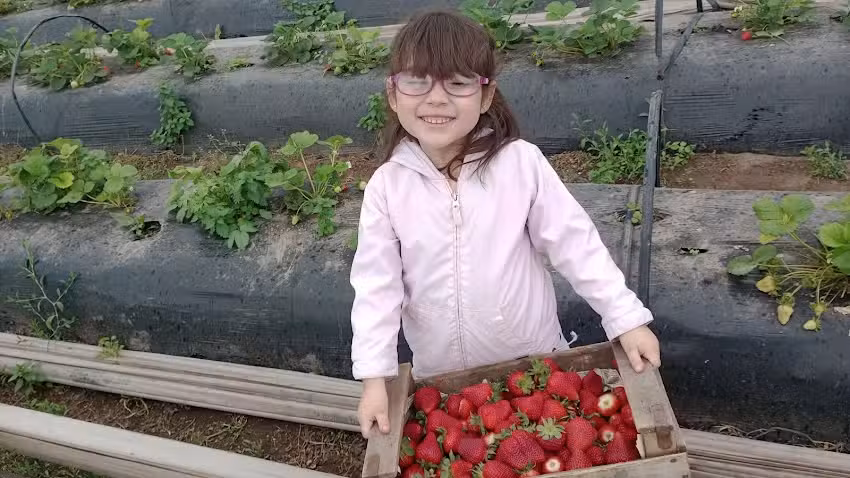 COOPERATIVA LAS GARZAS