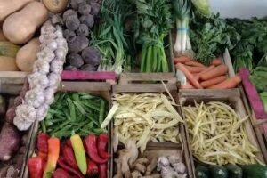 DE LUJOS frutas verduras y almac&eacute;n