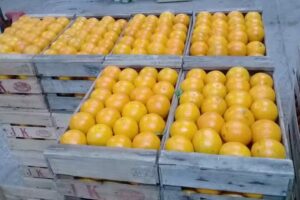 Dep&oacute;sito Mayorista de Frutas y Verduras San Cayetano