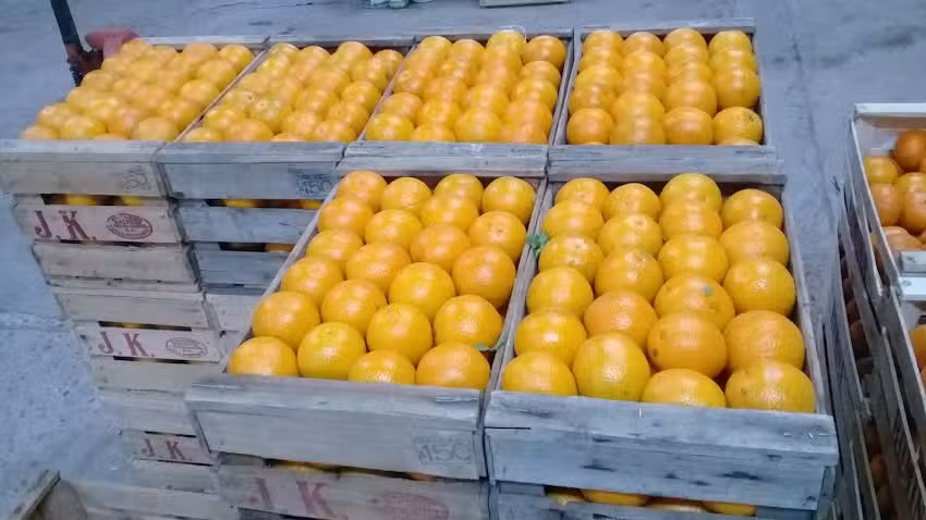 Dep&oacute;sito Mayorista de Frutas y Verduras San Cayetano