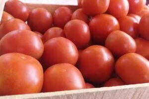Despensa &ldquo;Mart&iacute;n&rdquo; Anexo Fruter&iacute;a Y Verduleria