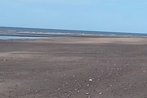 Despensa y Verduleria el churco 1