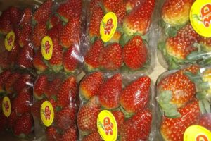 Despensa y Verduler&iacute;a Lavalle