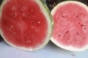 Despensa y verduleria Maria del Carmen