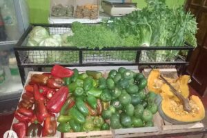 Despensa y Verduler&iacute;a Virgen de Urkupi&ntilde;a