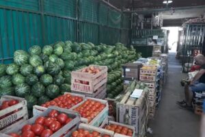 Di paolo david y ricardo rubio